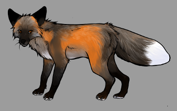 cross fox pet