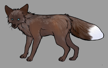 Red Fox Colour Mutations - Colicott Brown