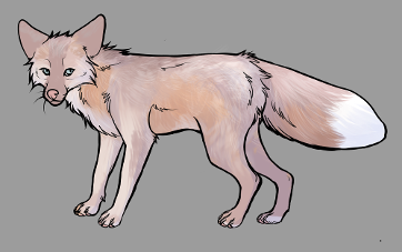 Red Fox Colour Mutations - Pink Cross