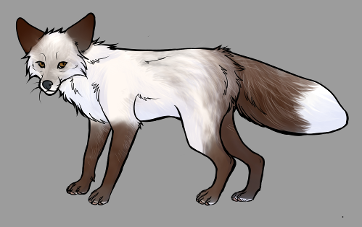 Red Fox Colour Mutations - Snow Glow