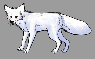 Red Fox Colour Mutations - White Marble